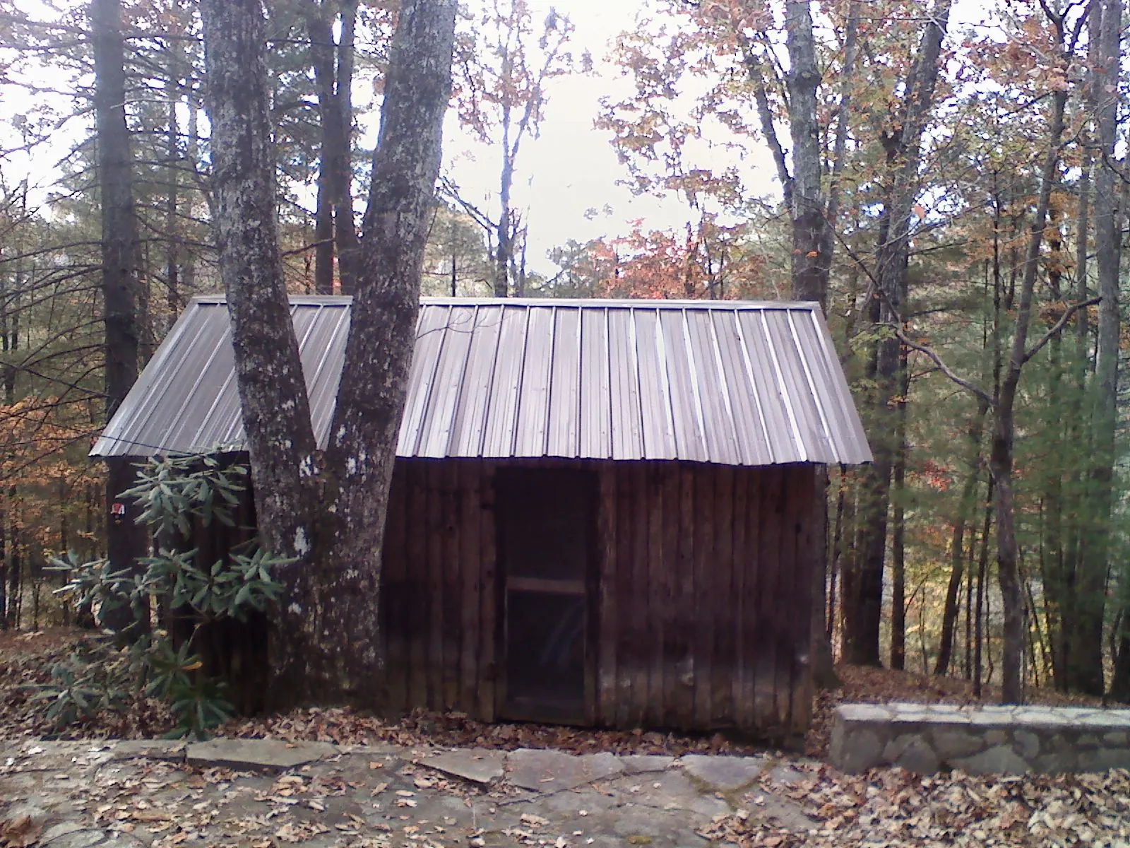 New metal gable roof on a small log shed among the trees in Woodbine
